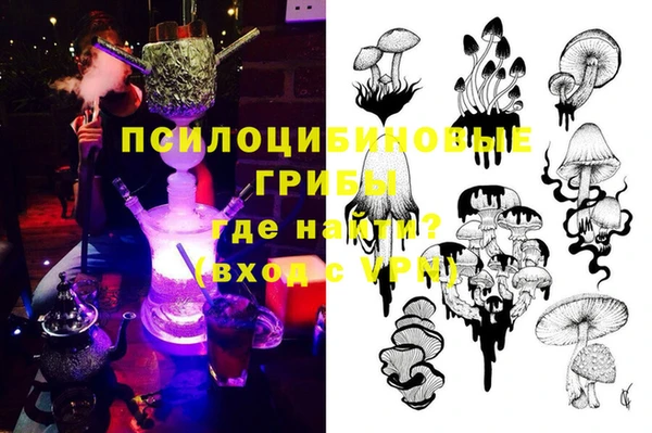 PSILOCYBIN Балабаново