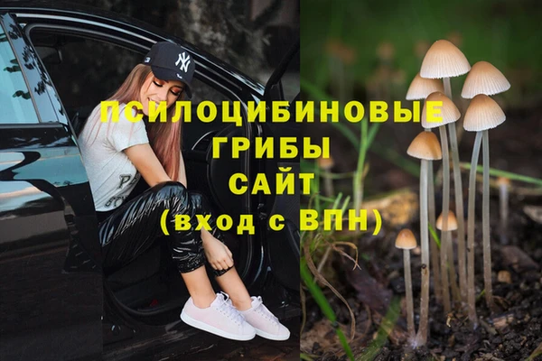 PSILOCYBIN Балабаново